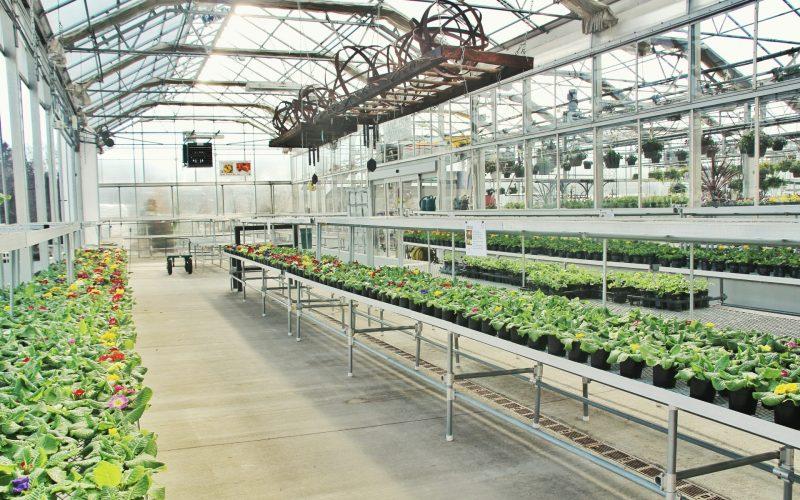 All About Greenhouse Temperature Difference - Krostrade
