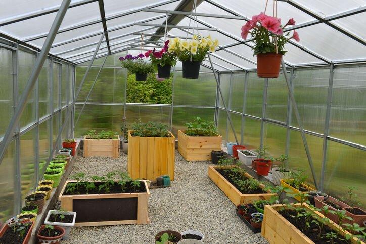Greenhouses in the desert: Are they useful? | Home + Life + Health | tucson.com