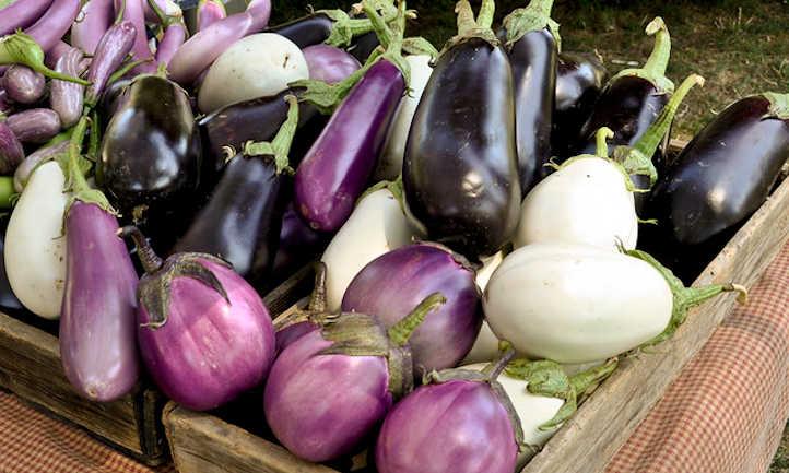 Eggplant Companion Plants To Try - Epic Gardening