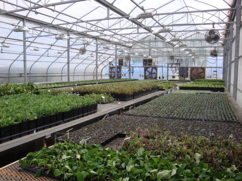 Common Plant Production Acronyms - Greenhouse Product News