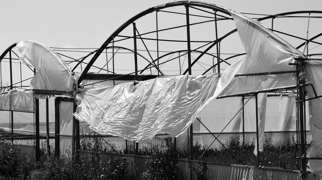 How Do I Protect My Greenhouse From Wind - Krostrade