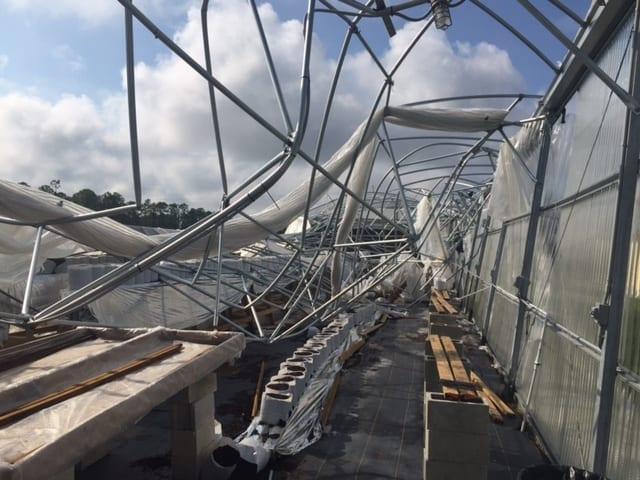 Jāderloon® Greenhouses Proven to Withstand Hurricane Irma - Jaderloon Greenhouses