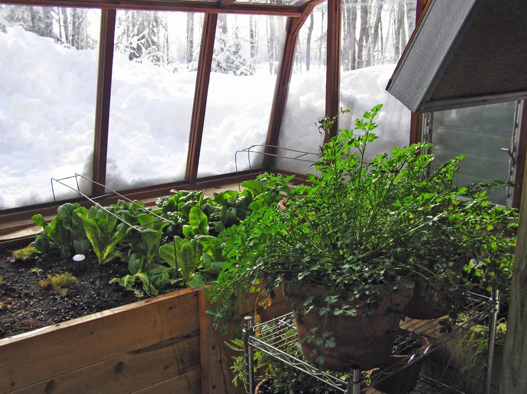 Winterize Your Greenhouse - Sturdi-Built Greenhouses