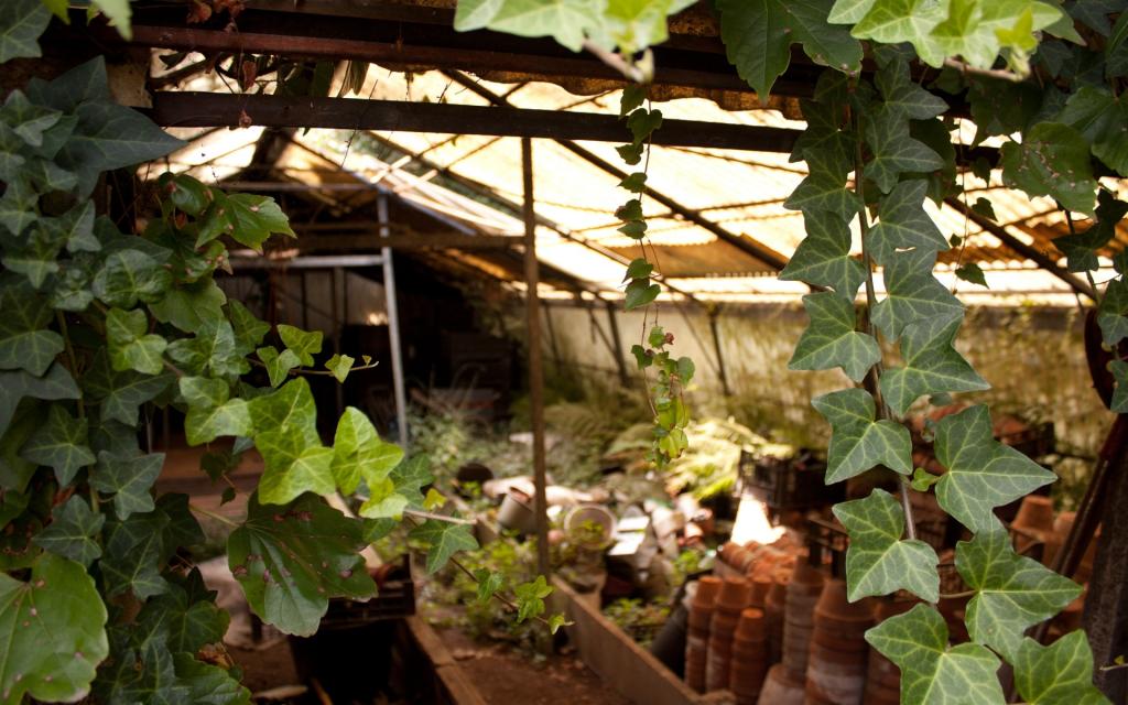 How Do You Hang Shade Cloth In A Hobby Greenhouse - Krostrade