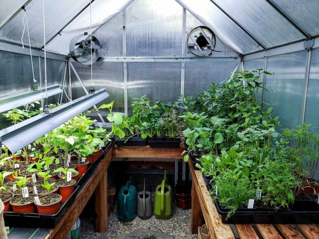 How Do You Hang Shade Cloth In A Hobby Greenhouse