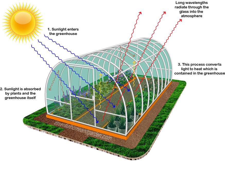 How Does a Greenhouse Work? - Essential Home and Garden