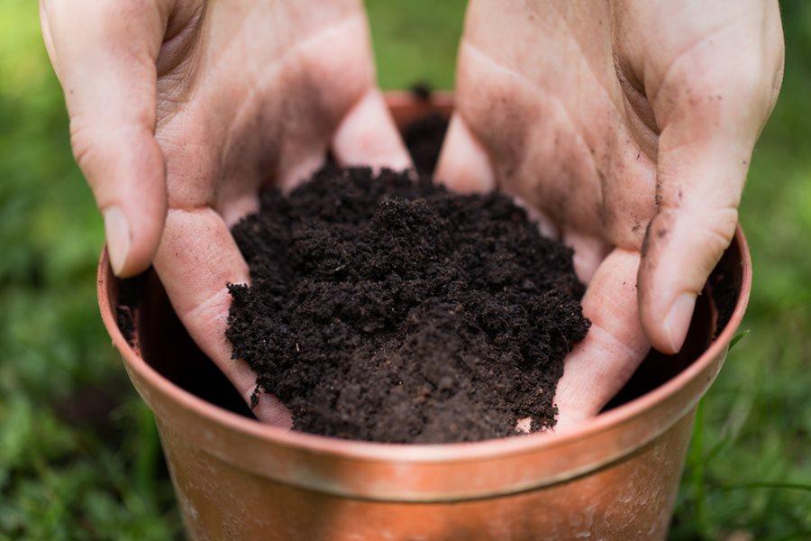 Potting Soil 101: How to Choose the Right Potting Mix for Your Plants | Garden Design