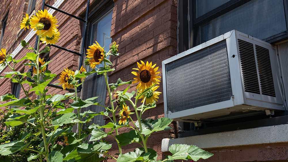 15 Genius Ways to Hide Window Air Conditioner Unit Outside & Indoors