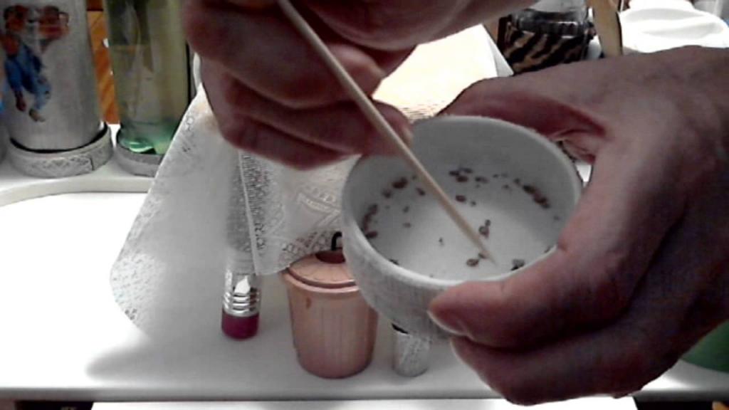 CO2 Bedbug Trap - Making Traps - YouTube