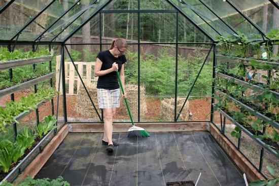 Growing Vegetables in a Greenhouse - One Hundred Dollars a Month