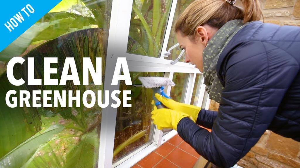 How to clean your greenhouse - YouTube