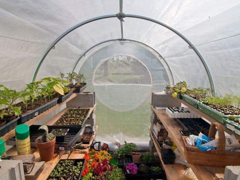 DIY Greenhouse - A Step-By-Step Guide