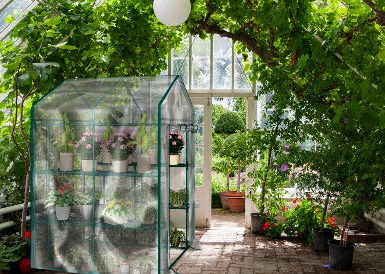 The best indoor greenhouses – Greenhouse Hunt