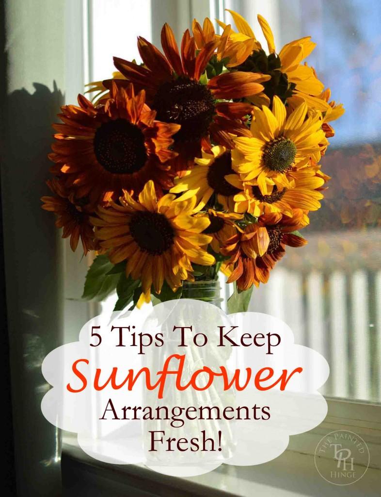 5 Tips To Keep Sunflowers Fresh