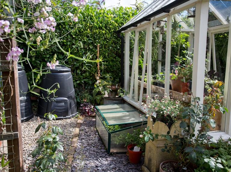 Essential Greenhouse Guide - BBC Gardeners World Magazine