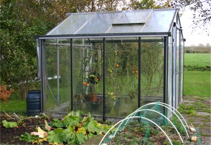 How to Use a Greenhouse | LoveToKnow