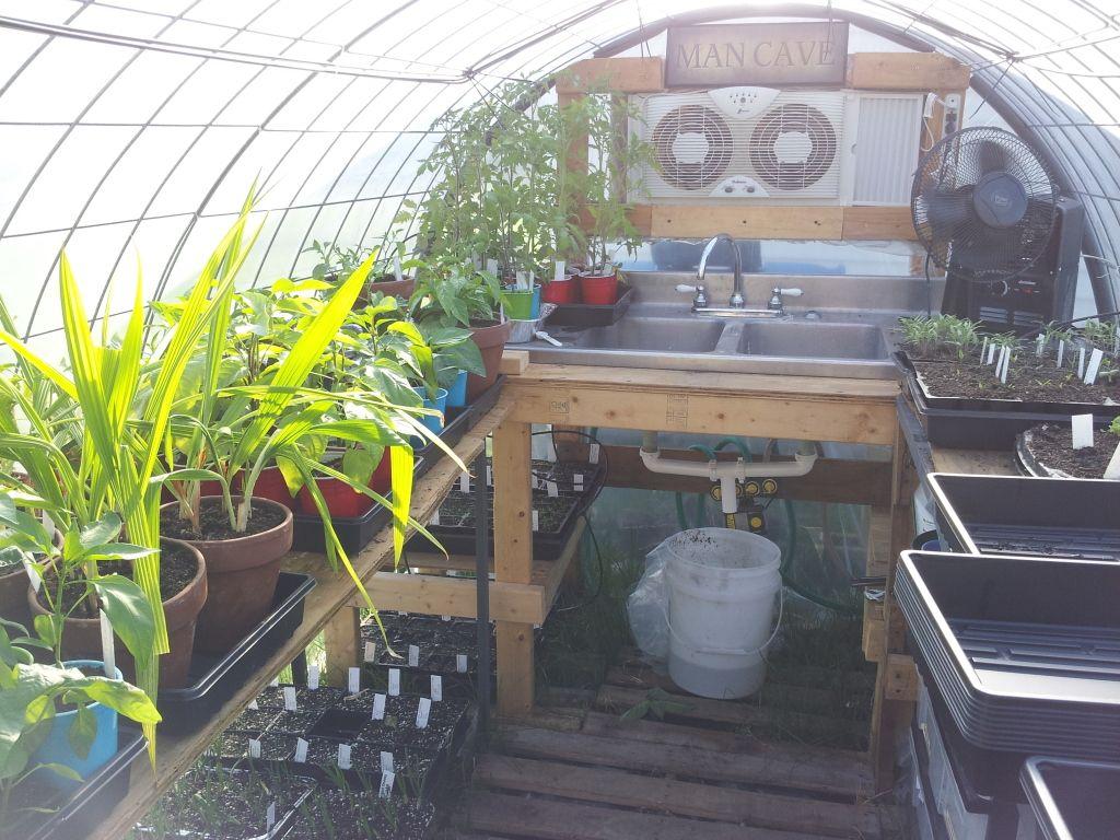 greenhouse setup | Diy greenhouse, Greenhouse plans, Greenhouse