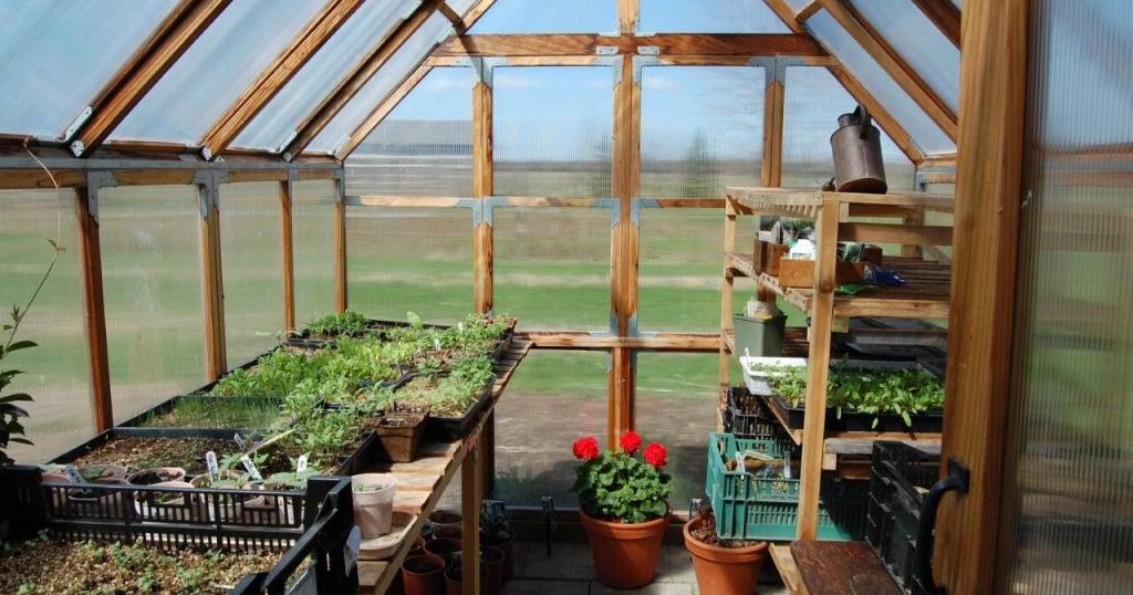 Thinking about building a greenhouse? Here are a few things to consider | Opinion | toronto.com