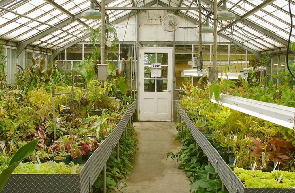 The earning greenhouse