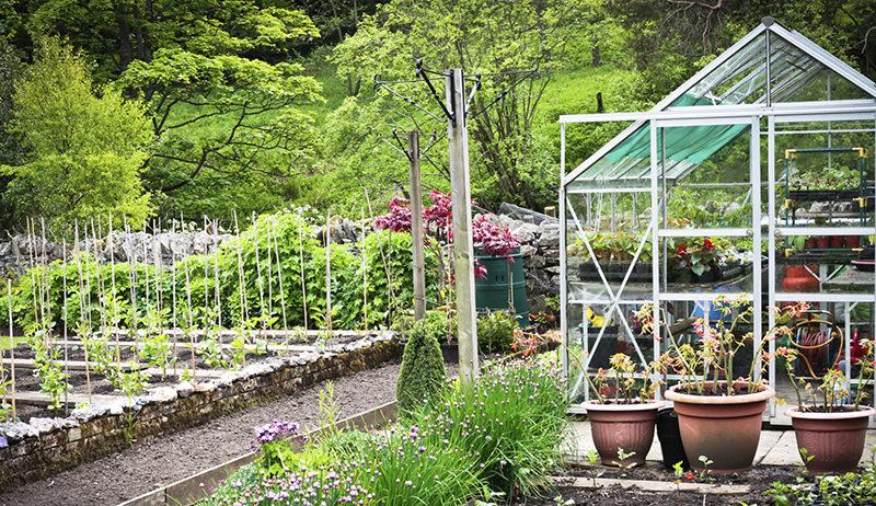 Get The Most Out Of Your Greenhouse - Hobby Farms