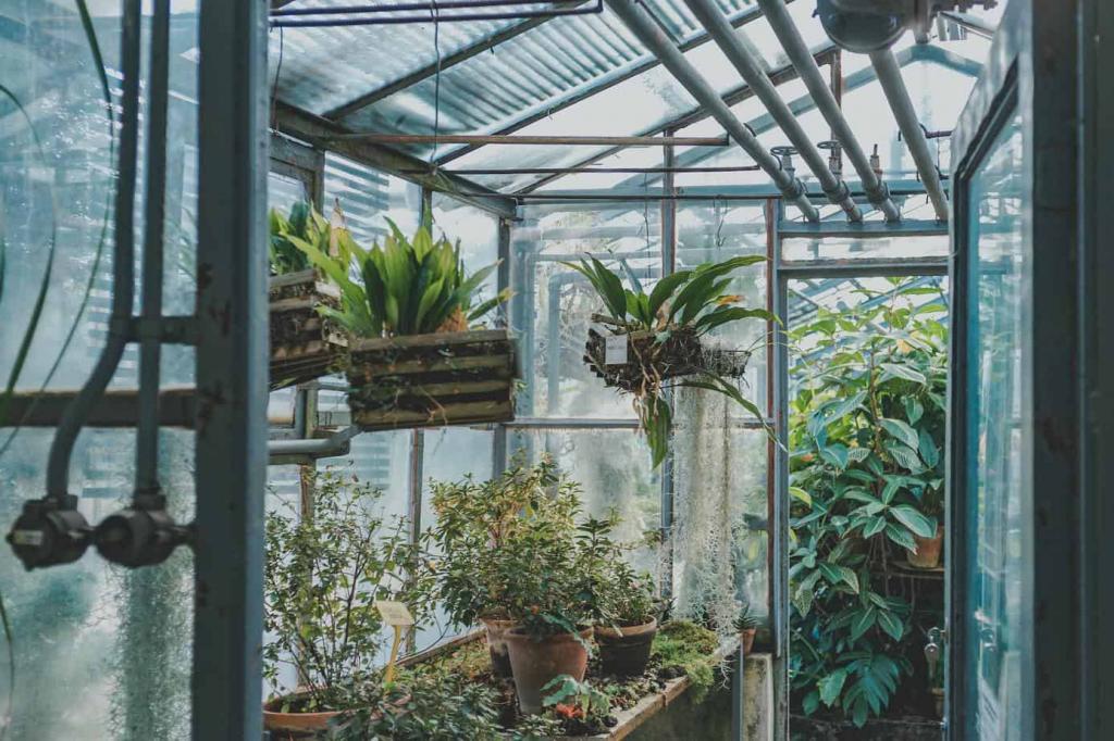 8 Greenhouse Setup Ideas to Make Your Life Easier | ODH