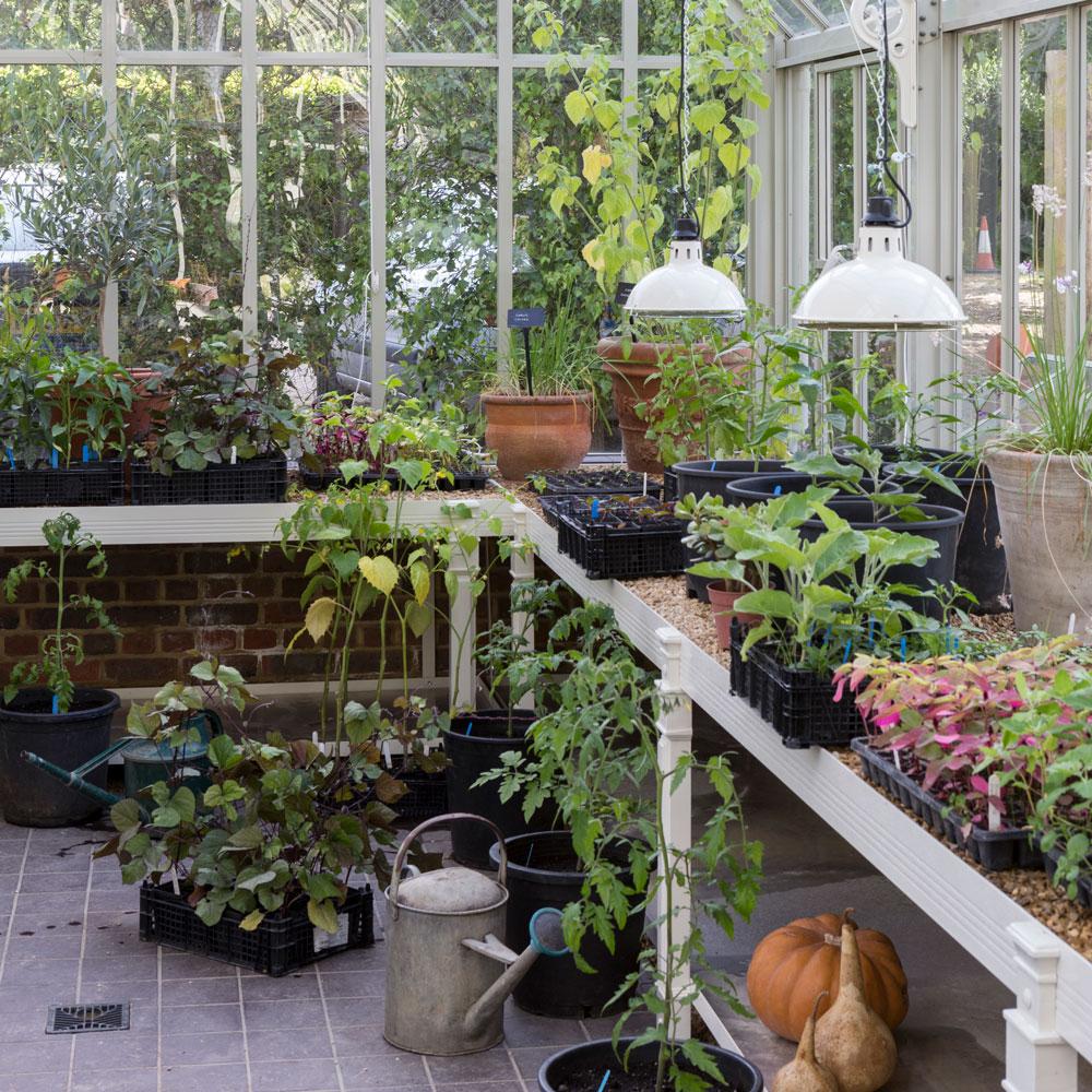Greenhouse ideas – traditional and new ways to use a garden glass house