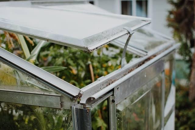 How to Regulate the Temperature in a Greenhouse? - Ready To DIY