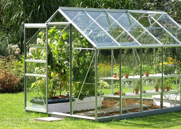 How to keep your greenhouse from getting too hot? – Greenhouse Hunt
