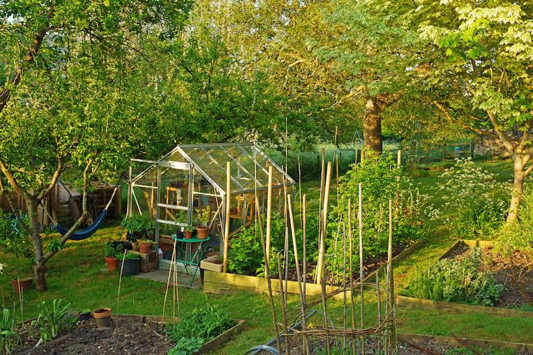 Where to position your greenhouse? | Thompson & Morgan