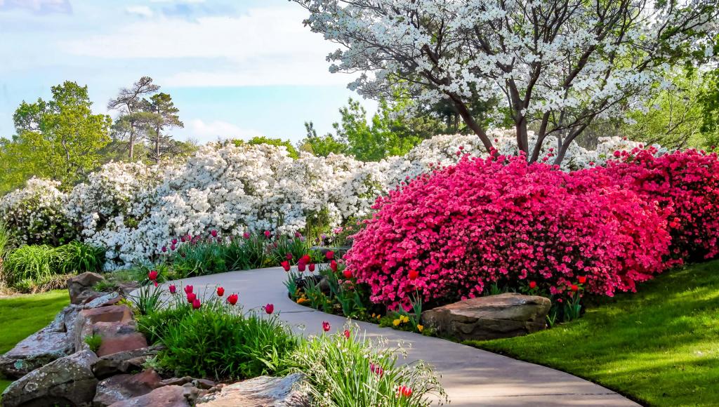 Beautiful Floral Garden Preparation Guide
