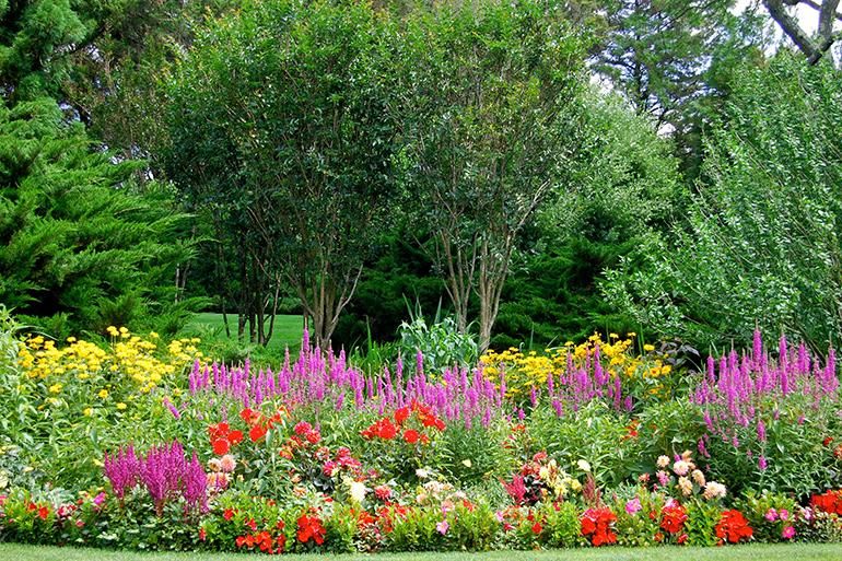 Notes from the Garden: Tips to Create Enchanting Floral Gardens