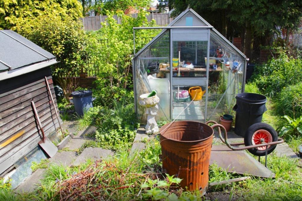 How To Clean Your Greenhouse In 7 Steps: Greenhouse Cleaning • Envii