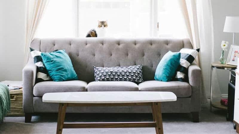 How To Get Rid Of Bed Bug On A Couch