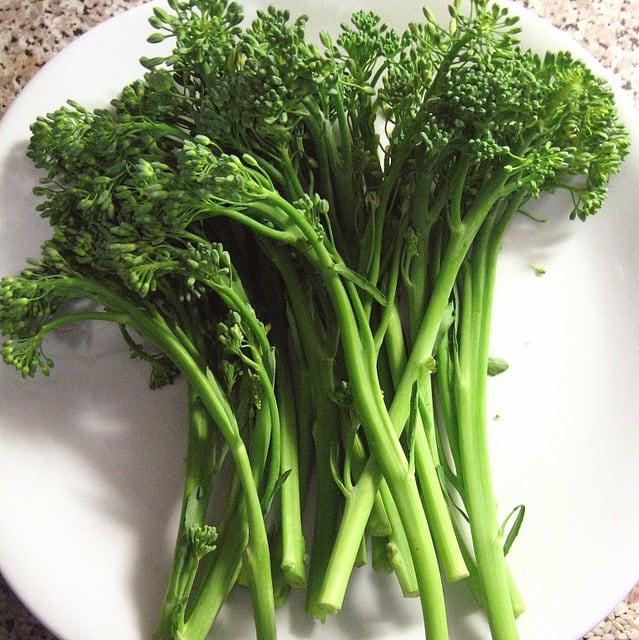 How to Grow Broccolini - Gardening Channel