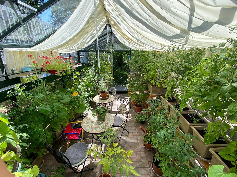 10 Ways to Keep Your Greenhouse Cool in Summer