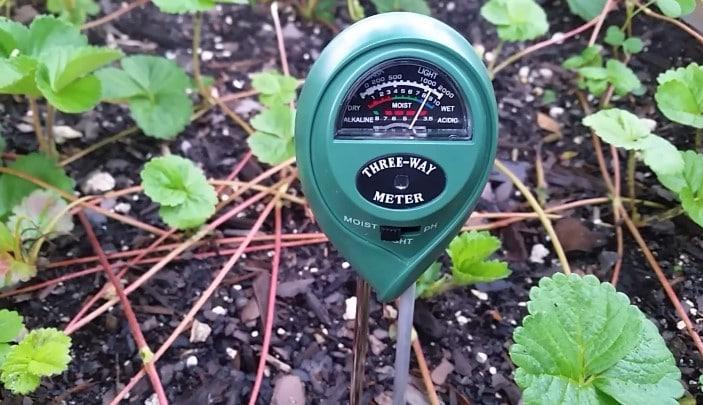 The 10 Best Soil pH Testers - (2022 Reviews & Guide)