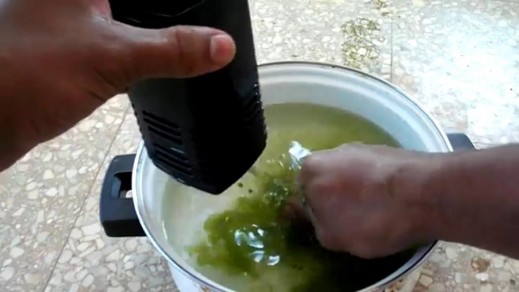 get rid of green algae in your tank - YouTube