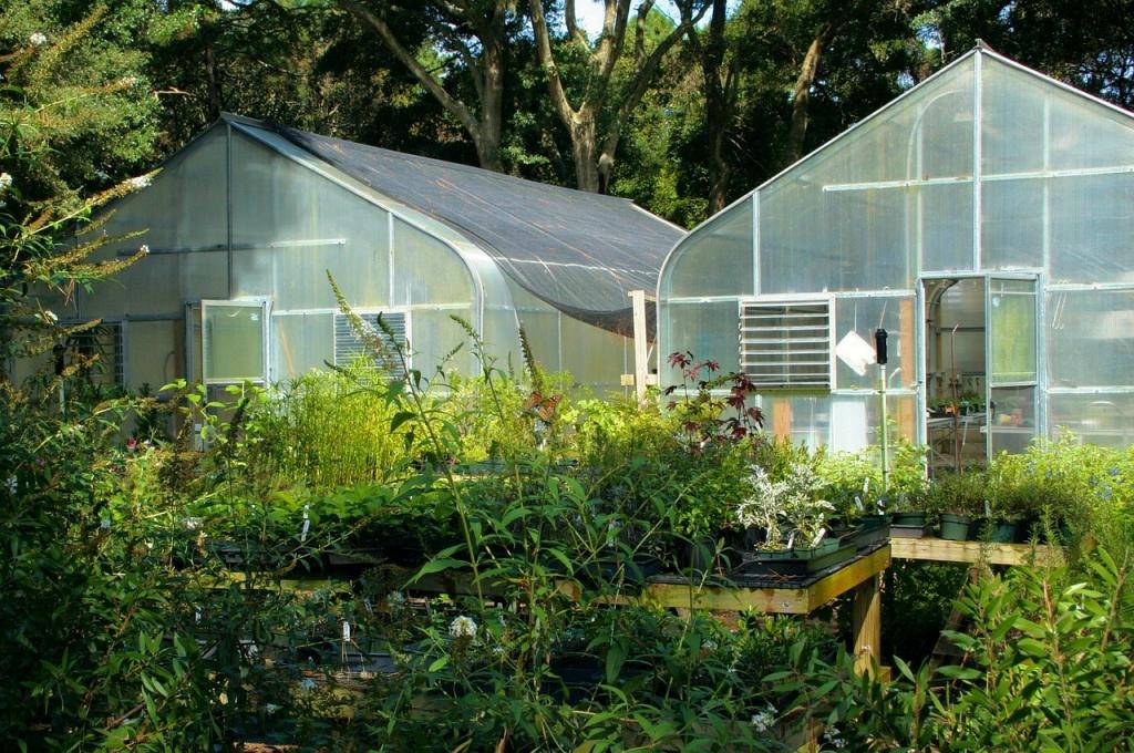 How to Heat a Hobby Greenhouse for Free in 3 Easy Ways - Krostrade