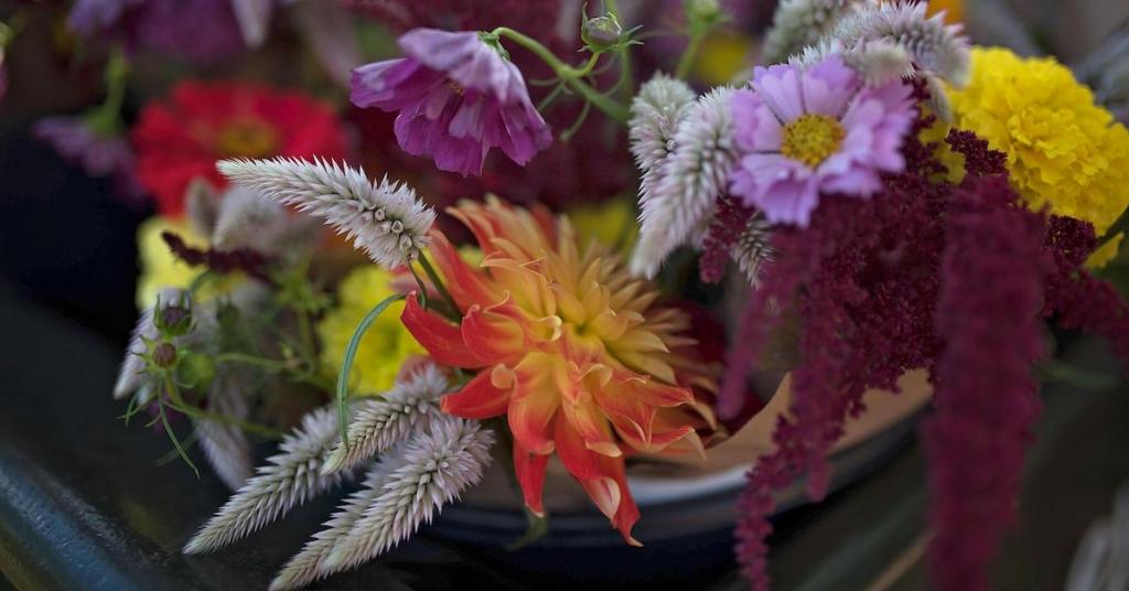 Where and How to Sell Cut Flowers from Your Farm