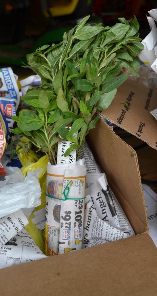 How to Ship Plants by U.S. Mail, UPS or Fed Ex. - Mike's Backyard Nursery