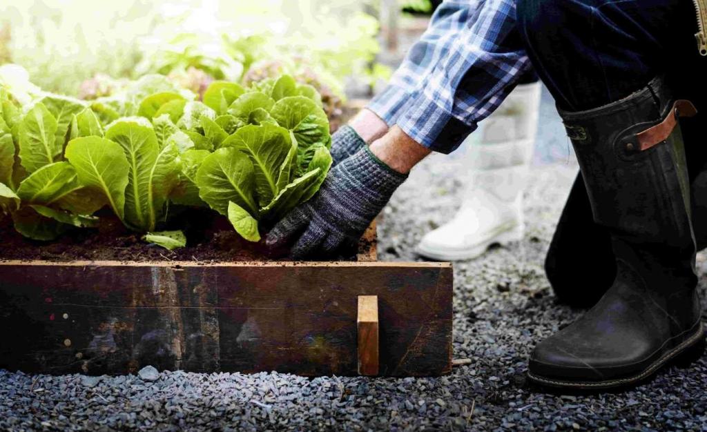 How to Start a Profitable Backyard Plant Nursery: A Complete Guide