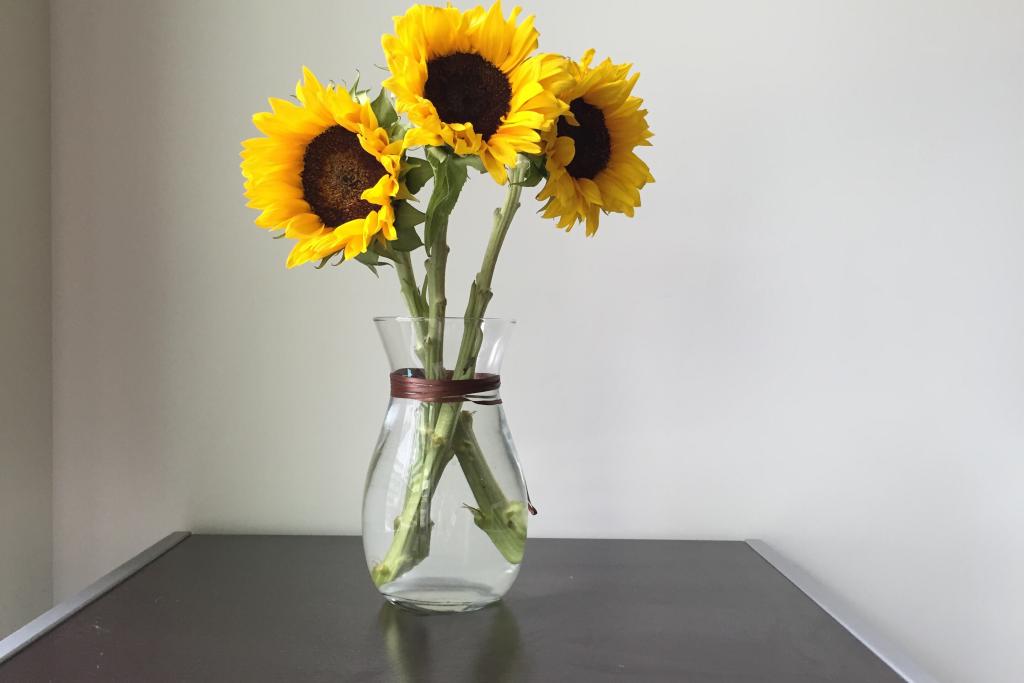 How to Care for Cut Sunflowers | Hunker