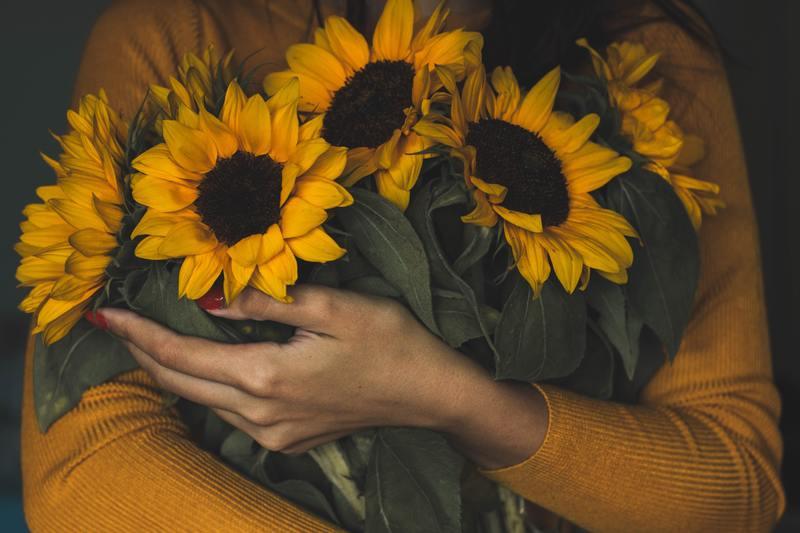 How to Take Care of Cut Sunflowers: 10 Easy-to-Follow Steps - Krostrade