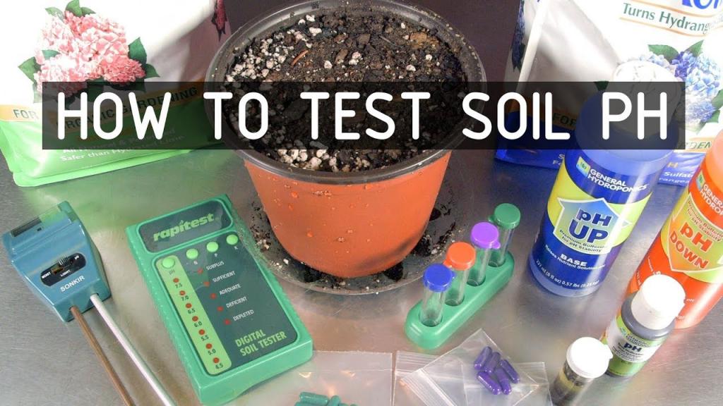 How to Test & Adjust Soil PH for Growing Cannabis Plants ( Seeds, Soil & Sun: Season 2 Ep 2) - YouTube