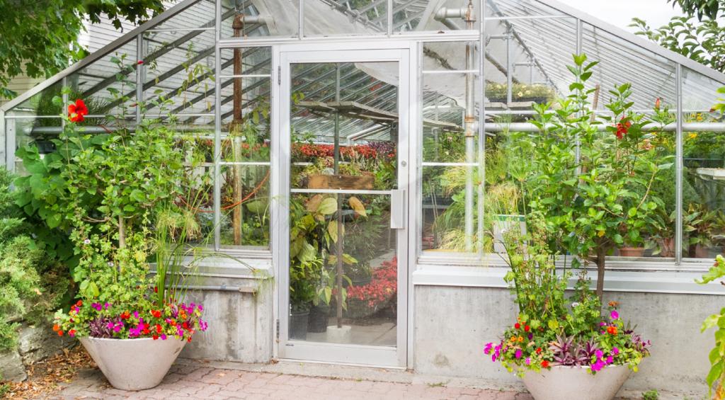 Backyard Gardener - Thinking About a Greenhouse? - December 2, 2020