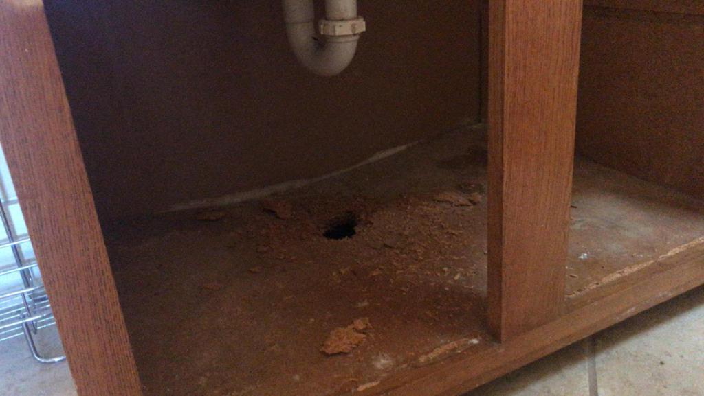 bathroom - How to fix the damaged floor of a vanity cabinet? - Home Improvement Stack Exchange