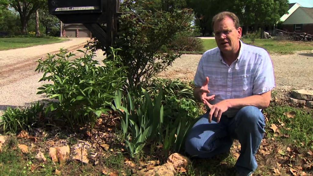 Controlling Grassy Weeds in Flower Beds - YouTube