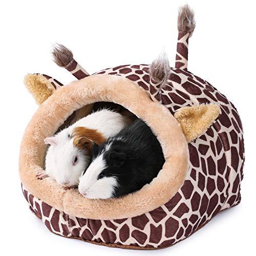 Best Guinea Pig Bed Reviewed: (2022) Buyer's Guide