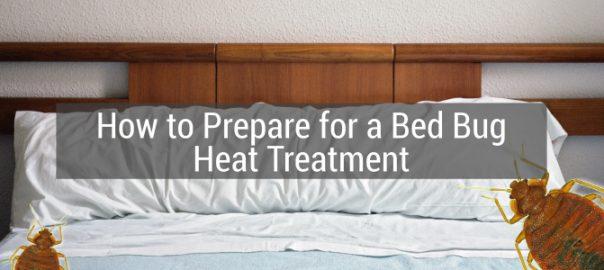 How to Prepare for a Bed Bug Heat Treatment