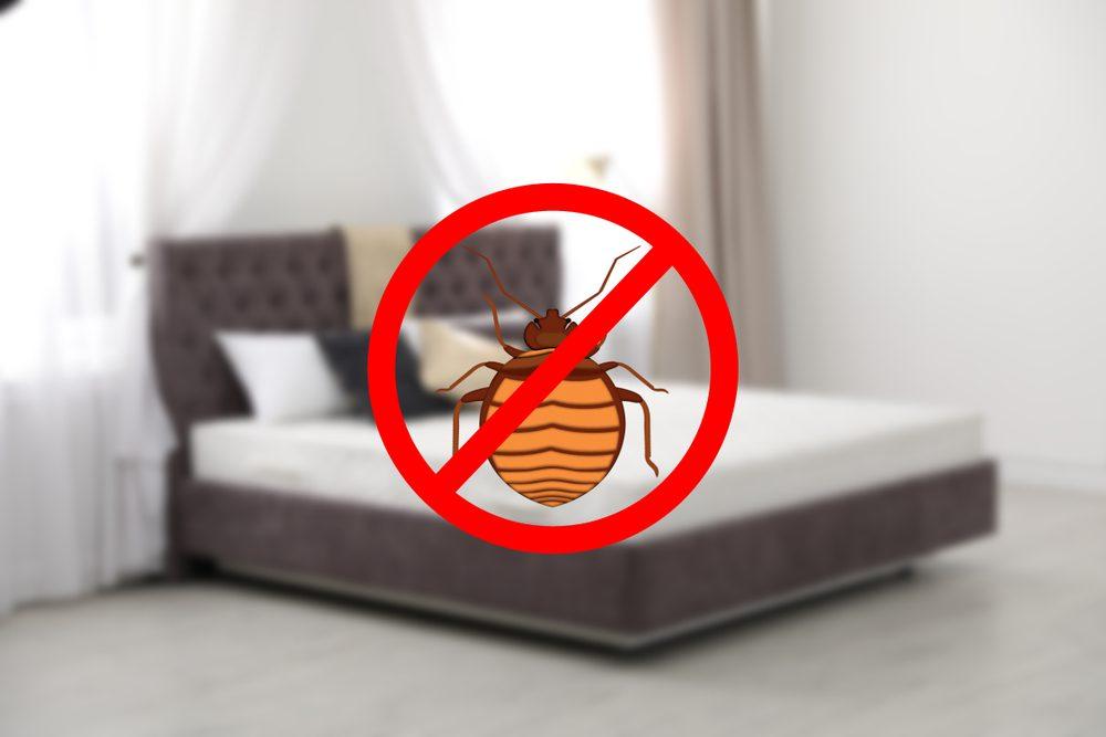 How to Prepare for Bed Bug Heat Treatment - Synergy²